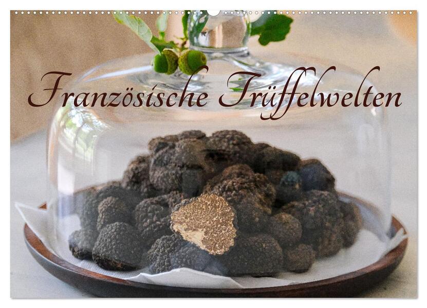 Französische Trüffelwelten (Wandkalender 2026 DIN A2 quer) CALVENDO Monatskalender