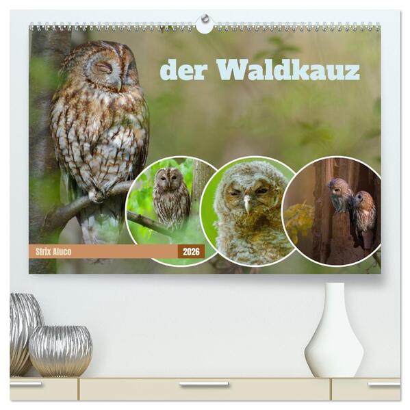 der Waldkauz - Strix Aluco (hochwertiger Premium Wandkalender 2026 DIN A2 quer) Kunstdruck in Hochglanz