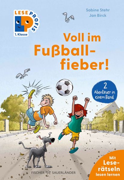Leseprofis - Voll im Fußballfieber! 1. Klasse (Doppelband)
