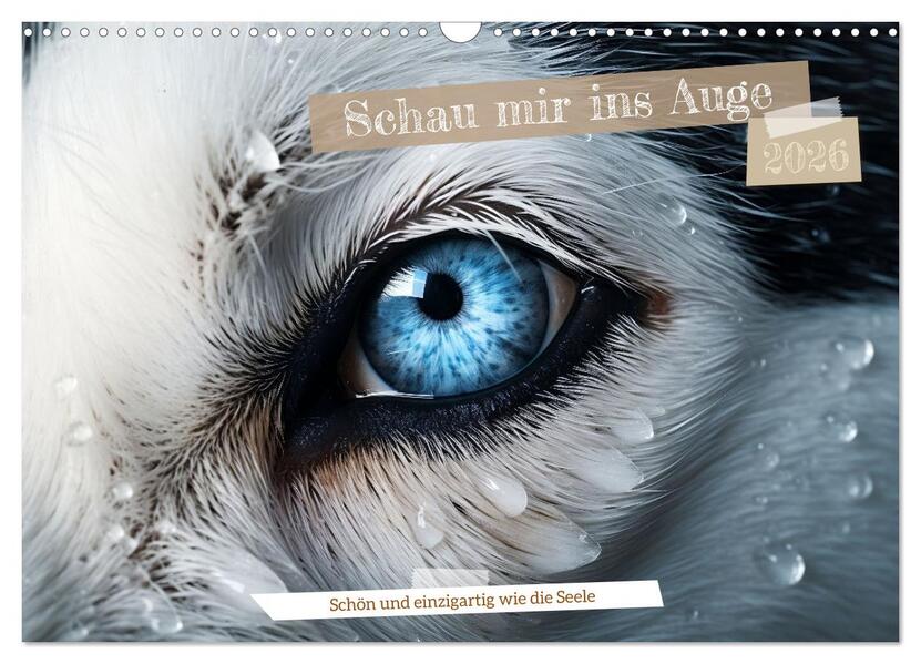 Schau mir ins Auge (Wandkalender 2026 DIN A3 quer) CALVENDO Monatskalender
