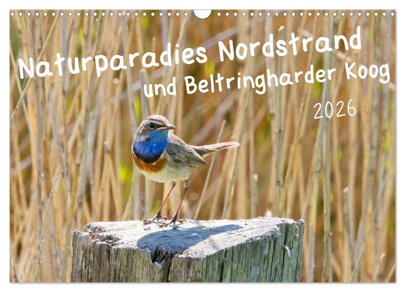 Naturparadies Nordstrand und Beltringharder Koog (Wandkalender 2026 DIN A3 quer) CALVENDO Monatskalender