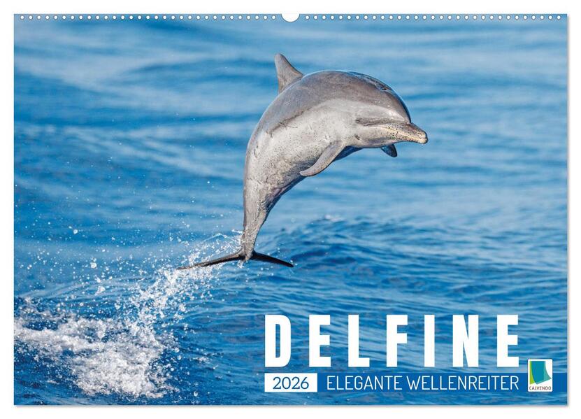 Delfine: Elegante Wellenreiter (Wandkalender 2026 DIN A2 quer) CALVENDO Monatskalender