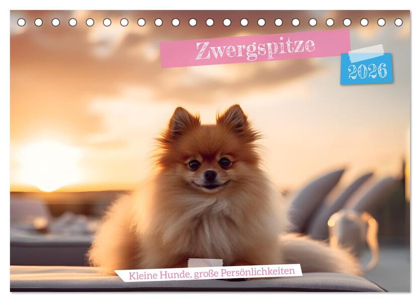 Zwergspitze - kleine Hunde große Persönlichkeiten (Tischkalender 2026 DIN A5 quer) CALVENDO Monatskalender