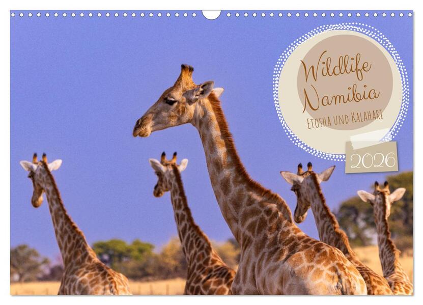 Wildlife Namibia - Etosha und Kalahari (Wandkalender 2026 DIN A3 quer) CALVENDO Monatskalender