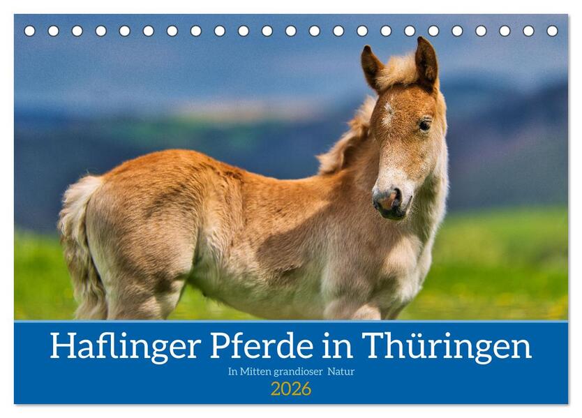 Haflinger Pferde in Thüringen (Tischkalender 2026 DIN A5 quer) CALVENDO Monatskalender