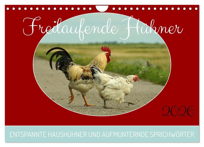 Freilaufende Hühner (Wandkalender 2026 DIN A4 quer) CALVENDO Monatskalender