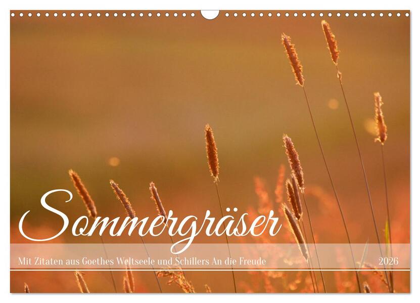 Sommergräser (Wandkalender 2026 DIN A3 quer) CALVENDO Monatskalender