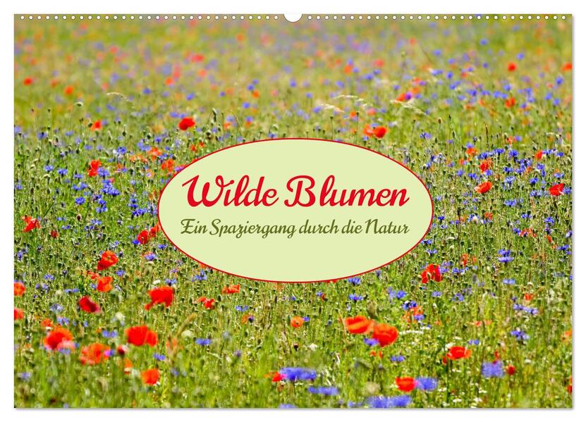 Wilde Blumen - ein Spaziergang durch die Natur (Wandkalender 2026 DIN A2 quer) CALVENDO Monatskalender