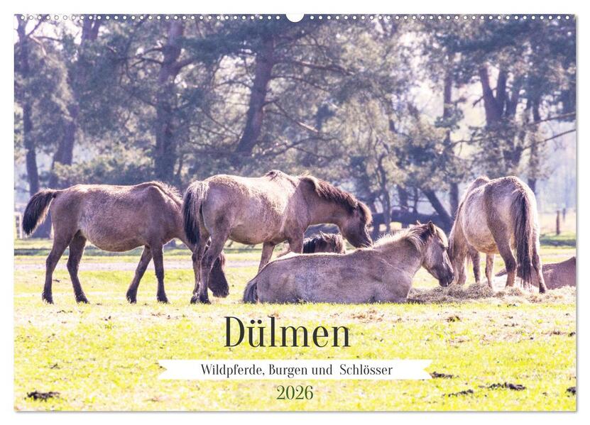 Dülmen - Wildpferde Burgen und Schlösser (Wandkalender 2026 DIN A2 quer) CALVENDO Monatskalender