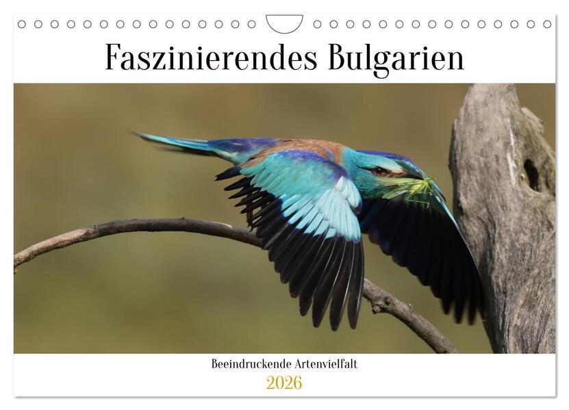 Faszinierendes Bulgarien (Wandkalender 2026 DIN A4 quer) CALVENDO Monatskalender