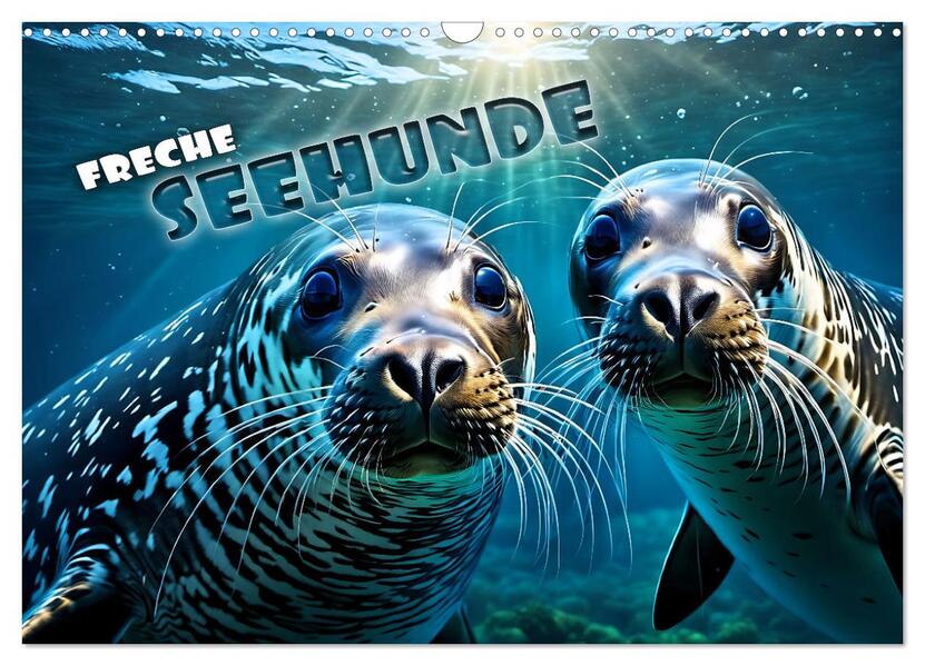 Freche Seehunde (Wandkalender 2026 DIN A3 quer) CALVENDO Monatskalender
