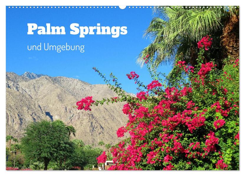 Palm Springs und Umgebung (Wandkalender 2026 DIN A2 quer) CALVENDO Monatskalender