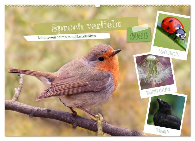 Spruch verliebt (Wandkalender 2026 DIN A2 quer) CALVENDO Monatskalender