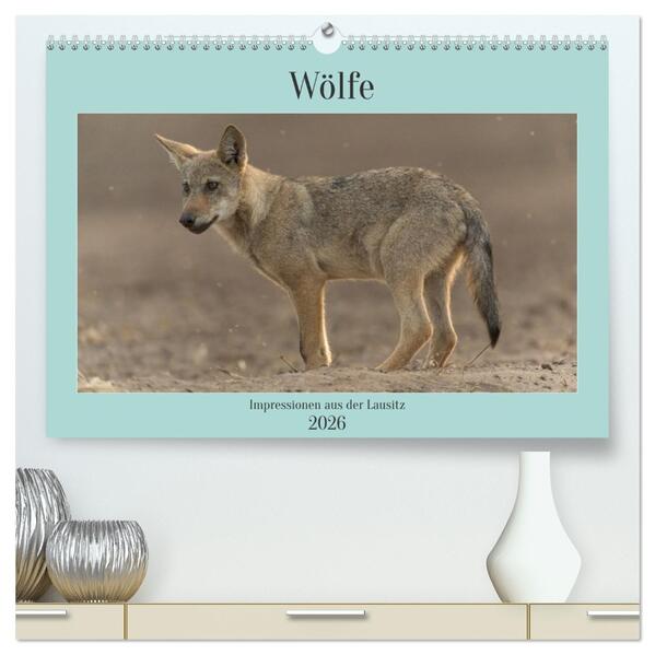 Wölfe Impressionen aus der Lausitz (hochwertiger Premium Wandkalender 2026 DIN A2 quer) Kunstdruck in Hochglanz