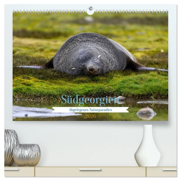 Südgeorgien - Abgelegenes Naturparadies (hochwertiger Premium Wandkalender 2026 DIN A2 quer) Kunstdruck in Hochglanz