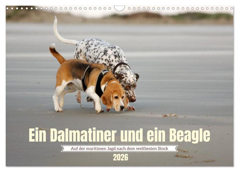Ein Dalmatiner und ein Beagle - Auf der maritimen Jagd nach dem weltbesten Stock (Wandkalender 2026 DIN A3 quer) CALVENDO Monatskalender