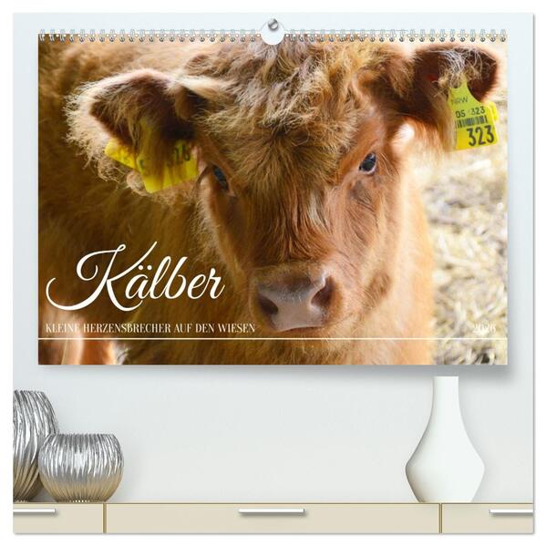 Kälber - Kleine Herzensbrecher auf den Wiesen (hochwertiger Premium Wandkalender 2026 DIN A2 quer) Kunstdruck in Hochglanz