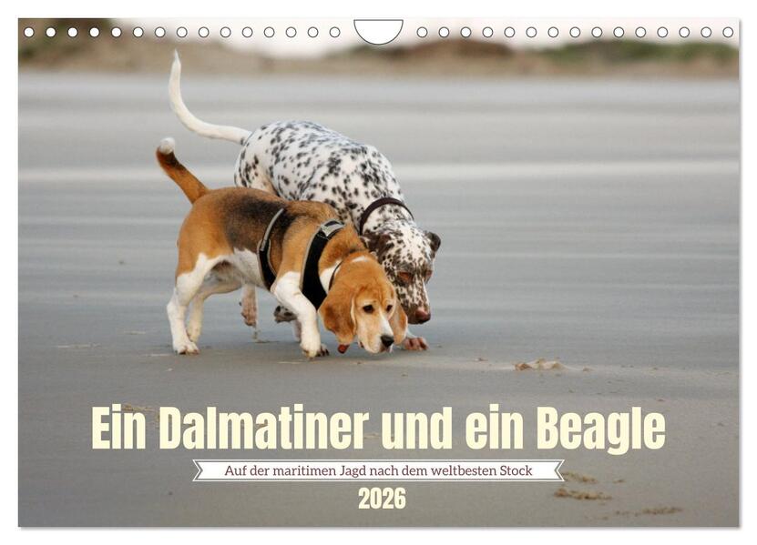 Ein Dalmatiner und ein Beagle - Auf der maritimen Jagd nach dem weltbesten Stock (Wandkalender 2026 DIN A4 quer) CALVENDO Monatskalender