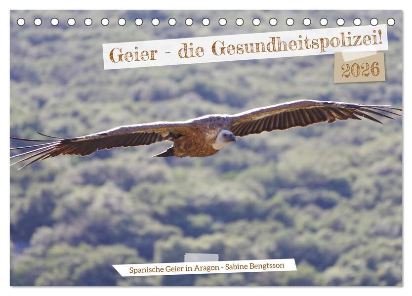Geier - die Gesundheitspolizei! (Tischkalender 2026 DIN A5 quer) CALVENDO Monatskalender