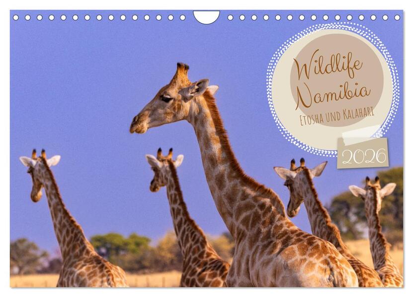 Wildlife Namibia - Etosha und Kalahari (Wandkalender 2026 DIN A4 quer) CALVENDO Monatskalender