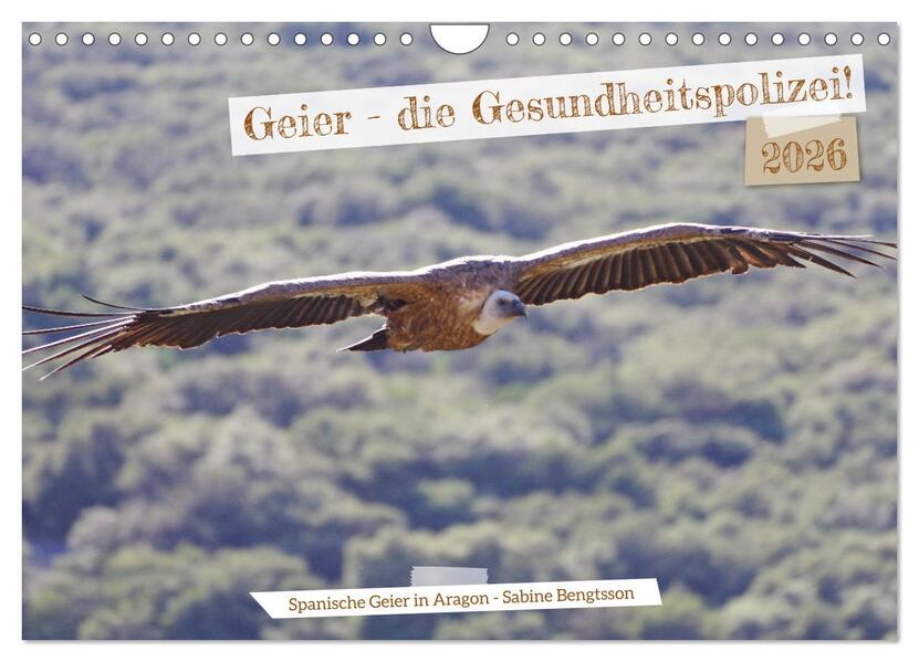 Geier - die Gesundheitspolizei! (Wandkalender 2026 DIN A4 quer) CALVENDO Monatskalender