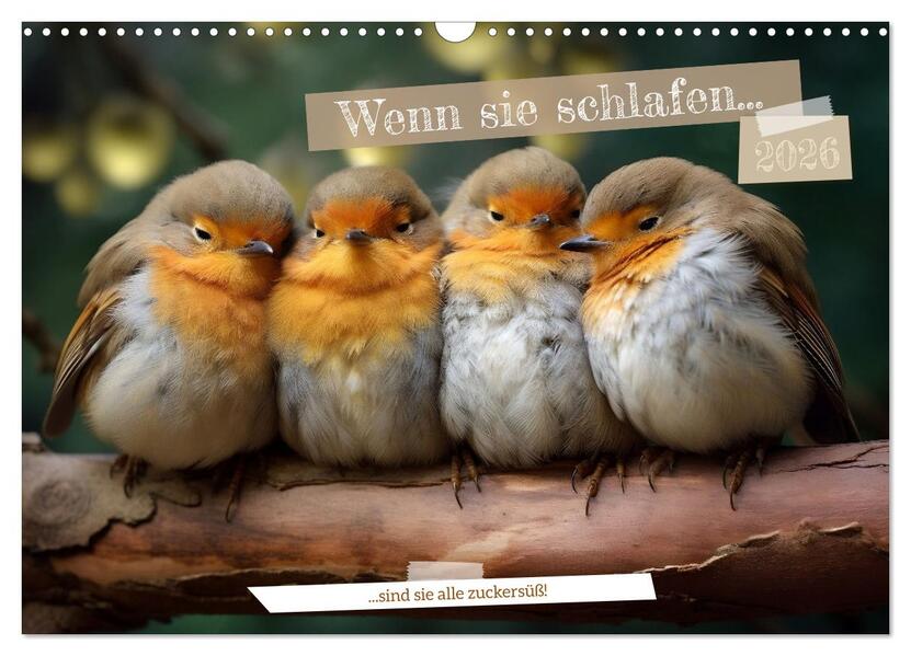 Wenn sie schlafen... (Wandkalender 2026 DIN A3 quer) CALVENDO Monatskalender