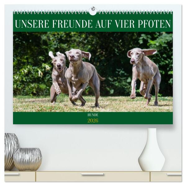 Unsere Freunde auf vier Pfoten - Hunde (hochwertiger Premium Wandkalender 2026 DIN A2 quer) Kunstdruck in Hochglanz