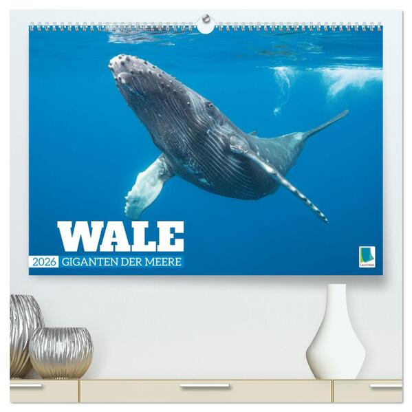 Wale: Giganten der Meere (hochwertiger Premium Wandkalender 2026 DIN A2 quer) Kunstdruck in Hochglanz