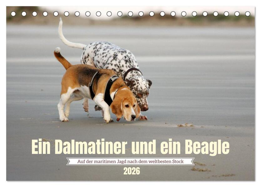 Ein Dalmatiner und ein Beagle - Auf der maritimen Jagd nach dem weltbesten Stock (Tischkalender 2026 DIN A5 quer) CALVENDO Monatskalender