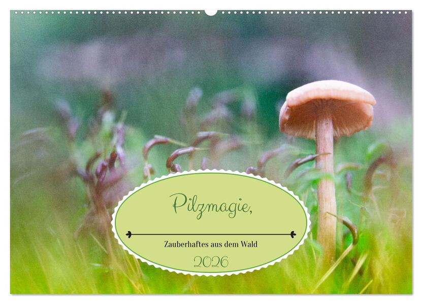 Pilzmagie (Wandkalender 2026 DIN A2 quer) CALVENDO Monatskalender