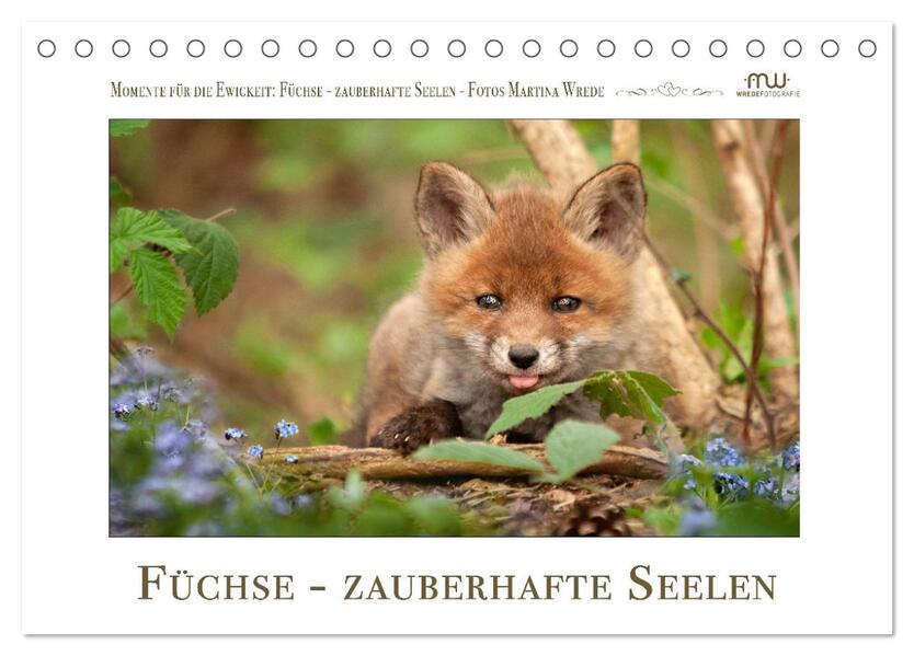 Füchse - zauberhafte Seelen (Tischkalender 2026 DIN A5 quer) CALVENDO Monatskalender