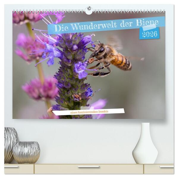 Die Wunderwelt der Biene (hochwertiger Premium Wandkalender 2026 DIN A2 quer) Kunstdruck in Hochglanz