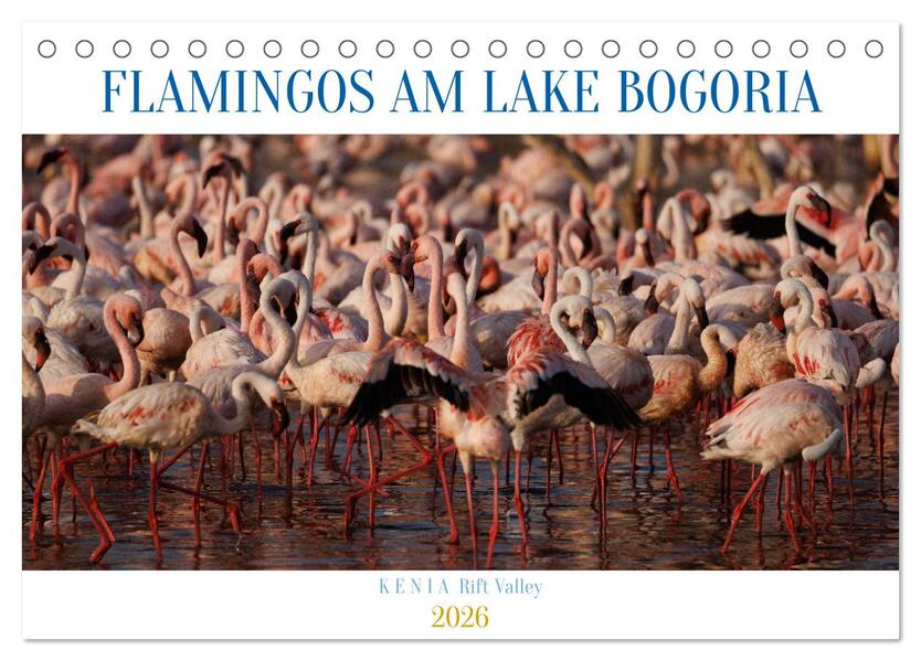 Flamingos am Lake Bogoria - Kenia (Tischkalender 2026 DIN A5 quer) CALVENDO Monatskalender