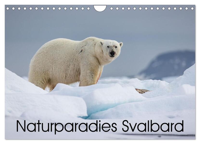 Naturparadies Svalbard (Wandkalender 2026 DIN A4 quer) CALVENDO Monatskalender