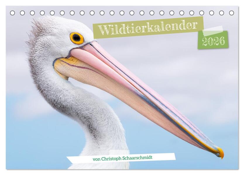 Wildtierkalender (Tischkalender 2026 DIN A5 quer) CALVENDO Monatskalender