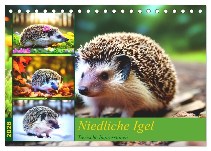 Niedliche Igel (Tischkalender 2026 DIN A5 quer) CALVENDO Monatskalender