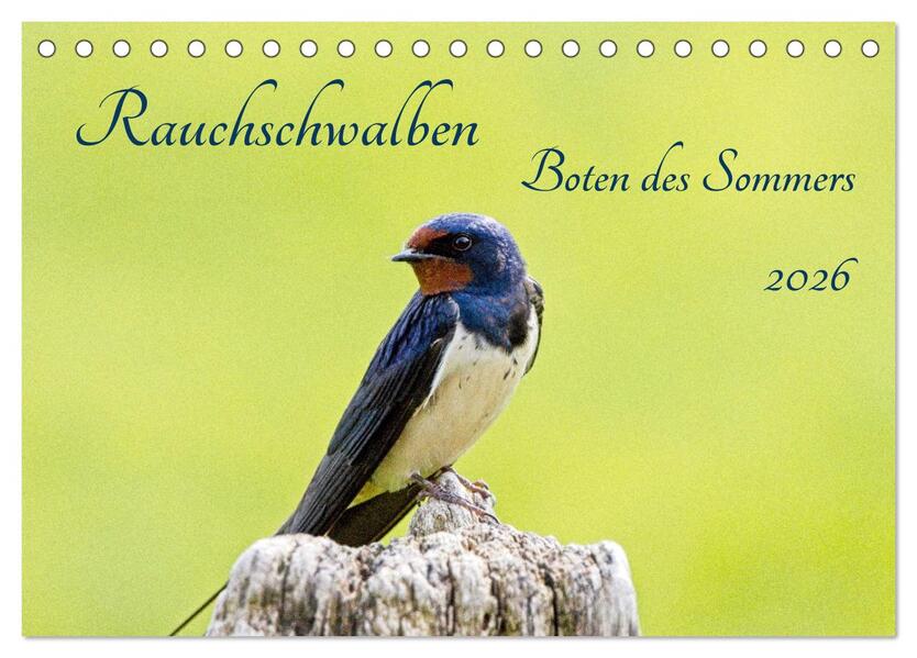 Rauchschwalben - Boten des Sommers (Tischkalender 2026 DIN A5 quer) CALVENDO Monatskalender