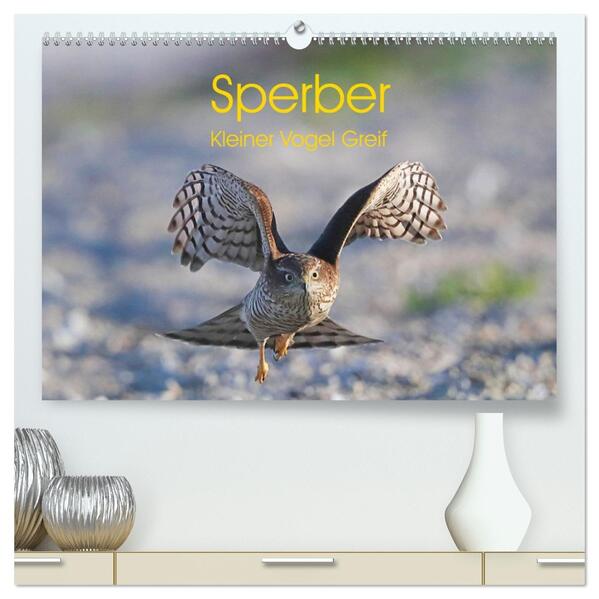 Sperber - Kleiner Vogel Greif (hochwertiger Premium Wandkalender 2026 DIN A2 quer) Kunstdruck in Hochglanz