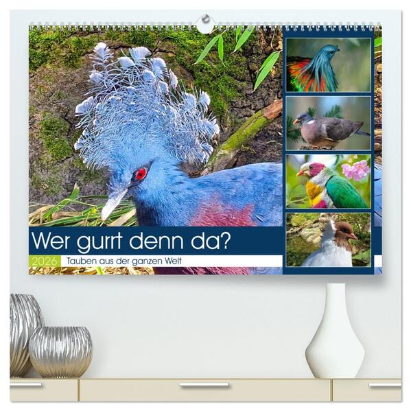 Wer gurrt denn da? (hochwertiger Premium Wandkalender 2026 DIN A2 quer) Kunstdruck in Hochglanz