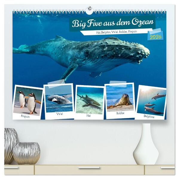 Big Five aus dem Ozean Hai Delphin Wal Robbe Pinguin (hochwertiger Premium Wandkalender 2026 DIN A2 quer) Kunstdruck in Hochglanz