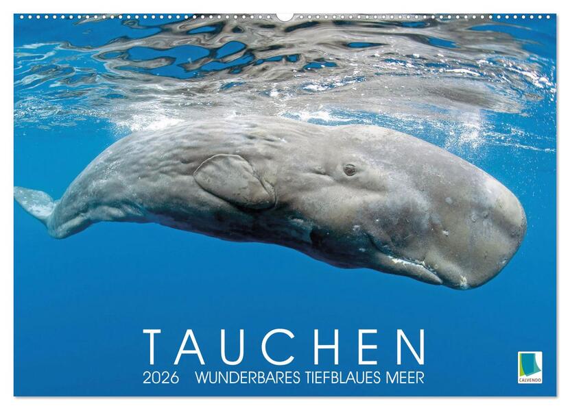Tauchen: Wunderbares tiefblaues Meer (Wandkalender 2026 DIN A2 quer) CALVENDO Monatskalender