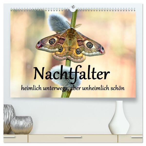 Nachtfalter - heimlich unterwegs aber unheimlich schön (hochwertiger Premium Wandkalender 2026 DIN A2 quer) Kunstdruck in Hochglanz