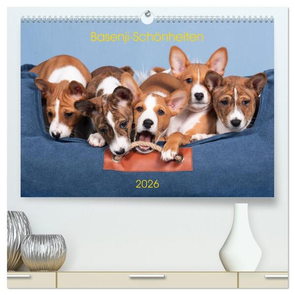 Basenji-Schönheiten (hochwertiger Premium Wandkalender 2026 DIN A2 quer) Kunstdruck in Hochglanz
