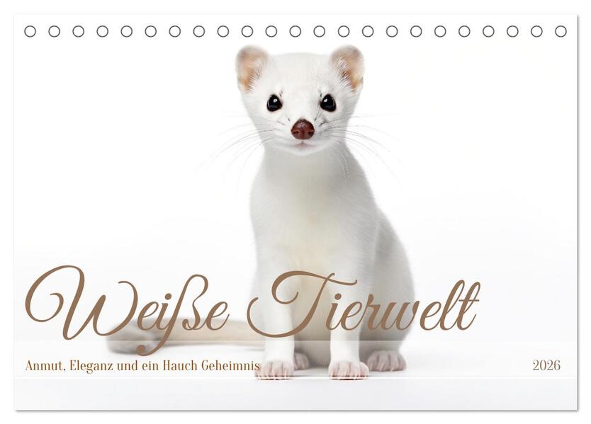 Weiße Tierwelt (Tischkalender 2026 DIN A5 quer) CALVENDO Monatskalender