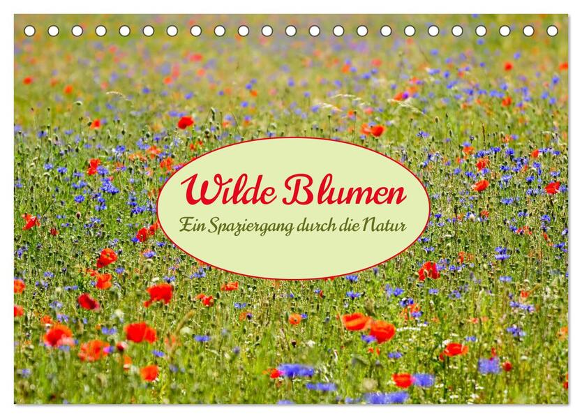 Wilde Blumen - ein Spaziergang durch die Natur (Tischkalender 2026 DIN A5 quer) CALVENDO Monatskalender