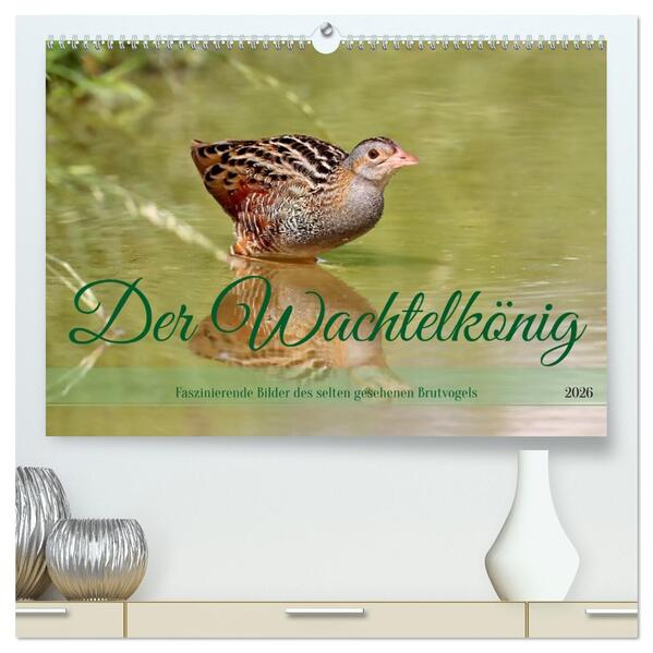 Der Wachtelkönig (hochwertiger Premium Wandkalender 2026 DIN A2 quer) Kunstdruck in Hochglanz
