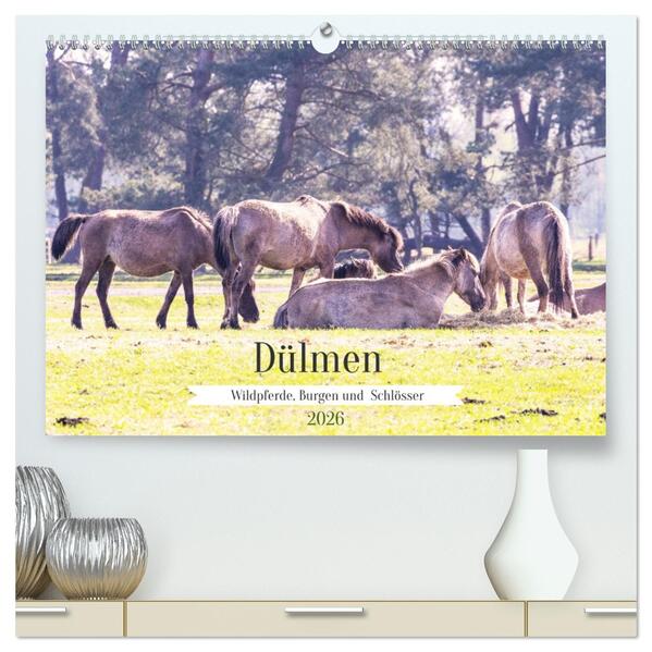 Dülmen - Wildpferde Burgen und Schlösser (hochwertiger Premium Wandkalender 2026 DIN A2 quer) Kunstdruck in Hochglanz