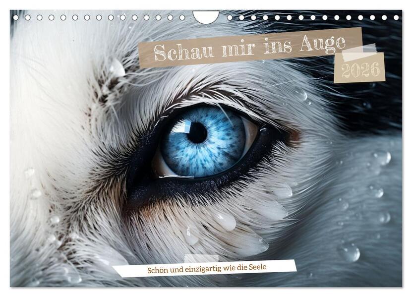 Schau mir ins Auge (Wandkalender 2026 DIN A4 quer) CALVENDO Monatskalender