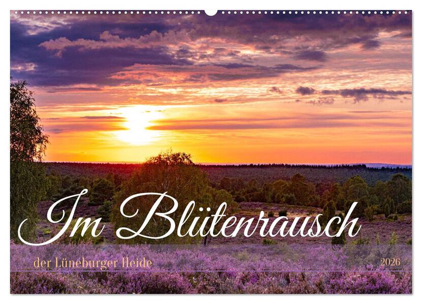 Im Blütenrausch der Lüneburger Heide (Wandkalender 2026 DIN A2 quer) CALVENDO Monatskalender