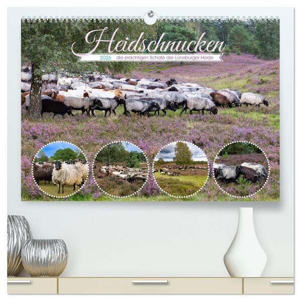 Heidschnucken die prächtigen Schafe der Lüneburger Heide (hochwertiger Premium Wandkalender 2026 DIN A2 quer) Kunstdruck in Hochglanz